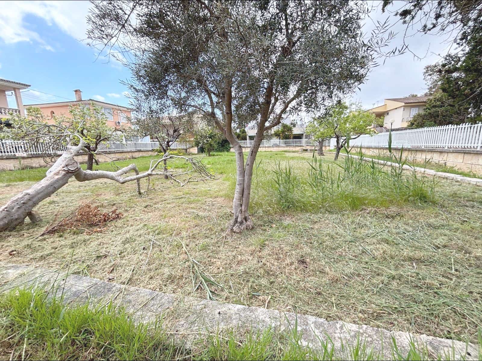 Building Plot for sale in Muro - € 580,000 (Ref: 9732406)