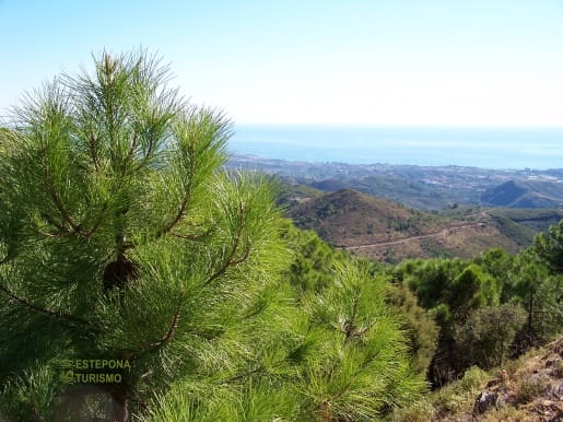 4 soveværelse Villa til salg i Estepona med swimmingpool garage - € 730.000 (Ref: 9751645)