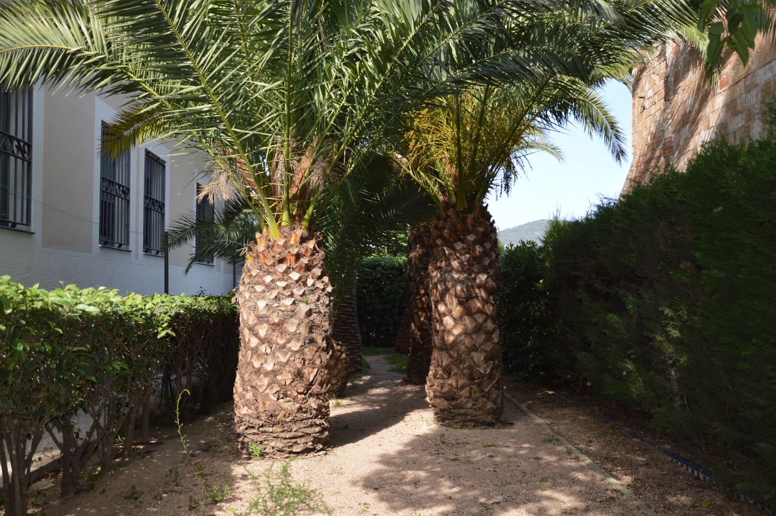 9 quarto Casa em Banda para venda em Sant Vicenc dels Horts com garagem - 1 640 000 € (Ref: 9806823)