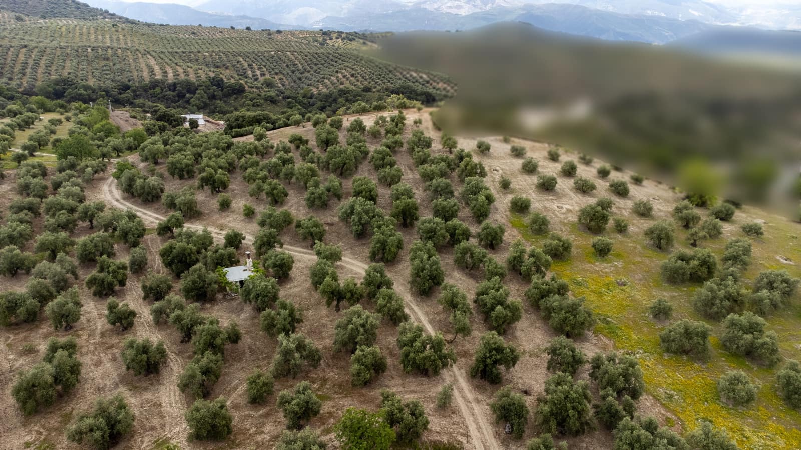 Mark till salu i Granada stad - 39 900 € (Ref: 9964531)