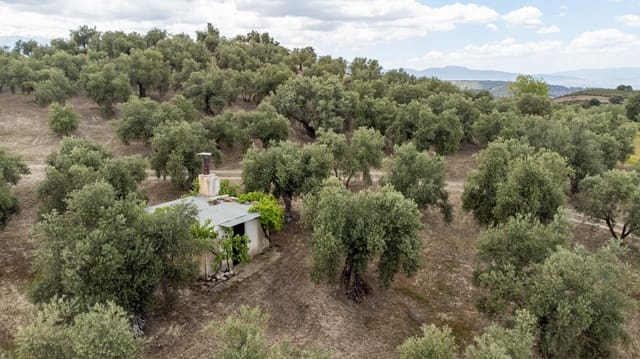 Mark till salu i Granada stad - 39 900 € (Ref: 9964531)