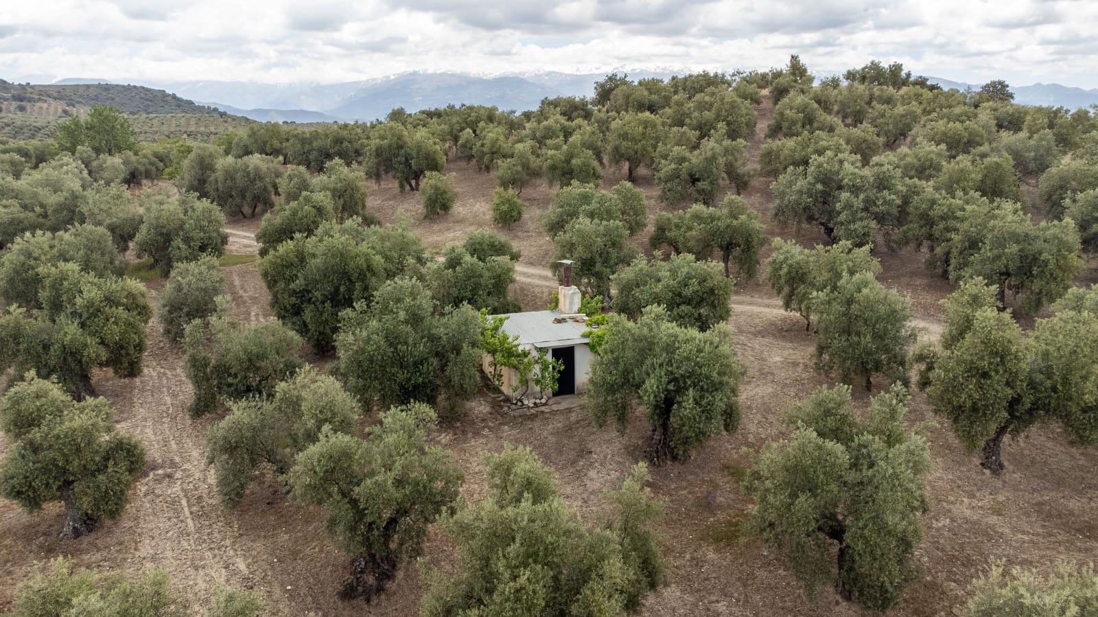 Mark till salu i Granada stad - 39 900 € (Ref: 9964531)