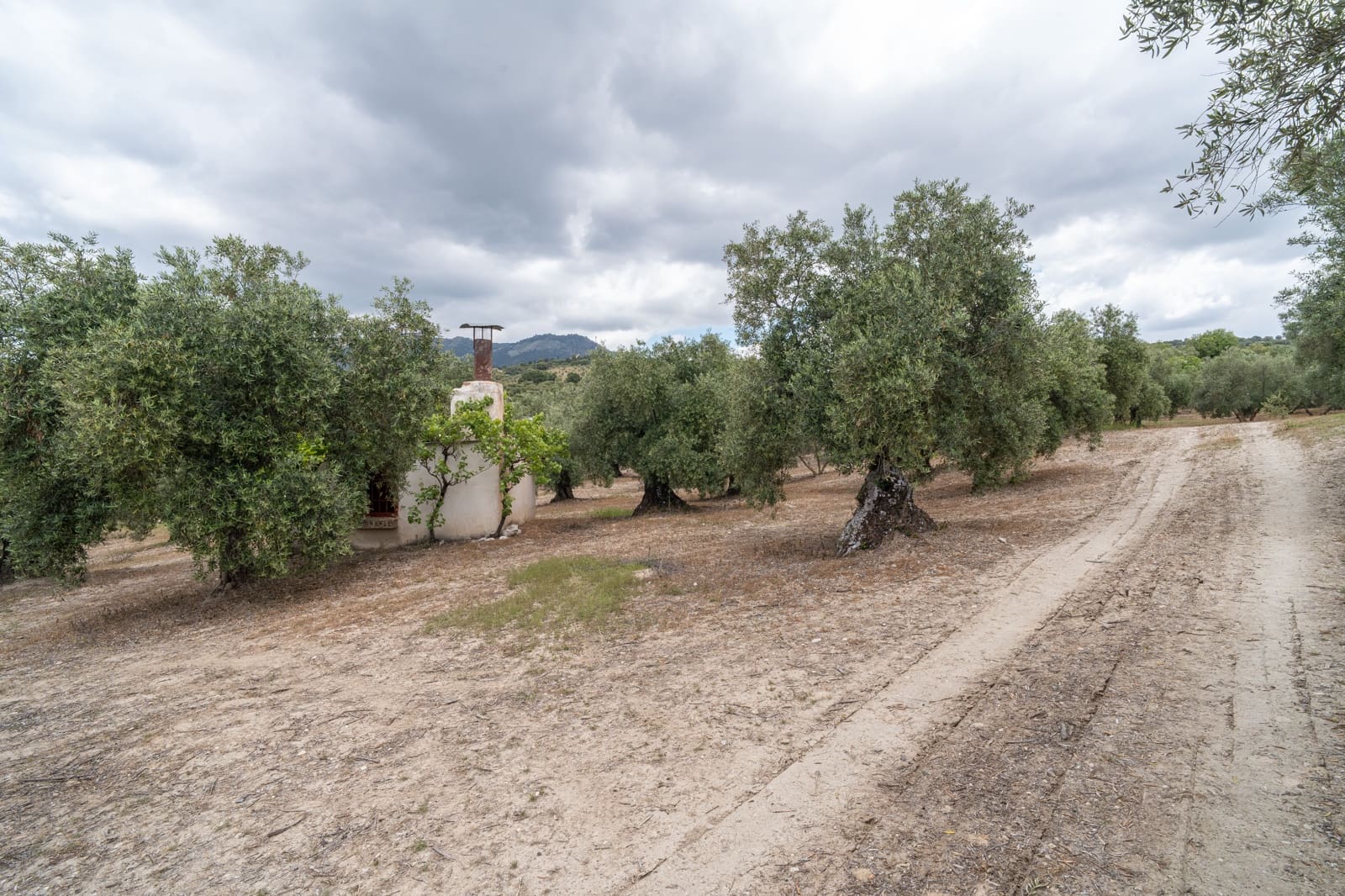 Mark till salu i Granada stad - 39 900 € (Ref: 9964531)
