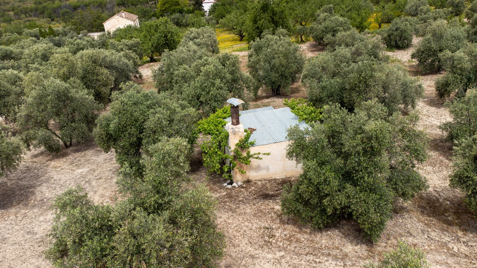 Mark till salu i Granada stad - 39 900 € (Ref: 9964531)