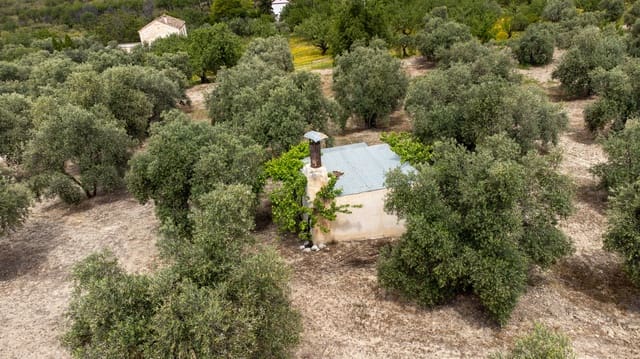 Mark till salu i Granada stad - 39 900 € (Ref: 9964531)