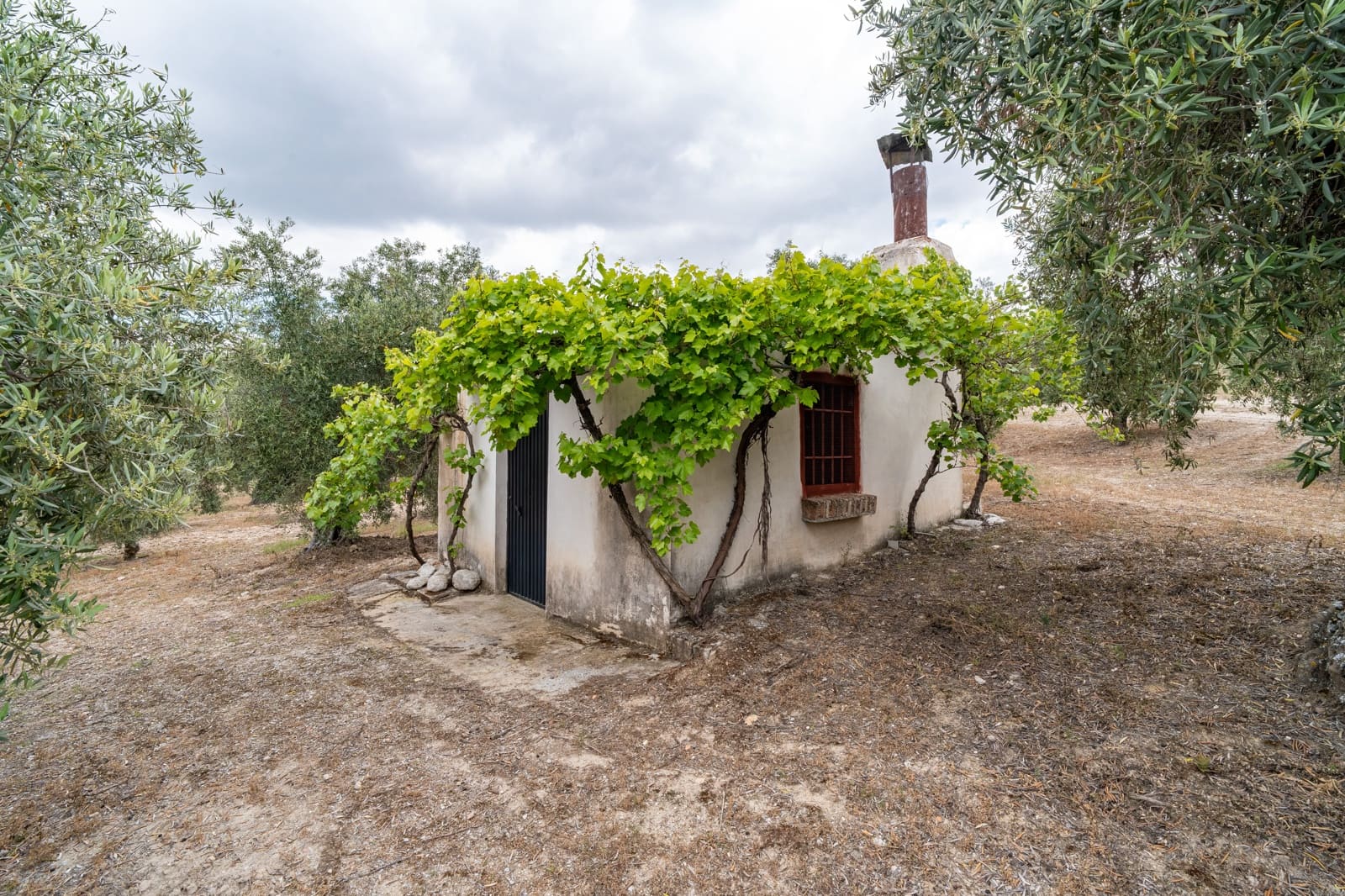 Mark till salu i Granada stad - 39 900 € (Ref: 9964531)