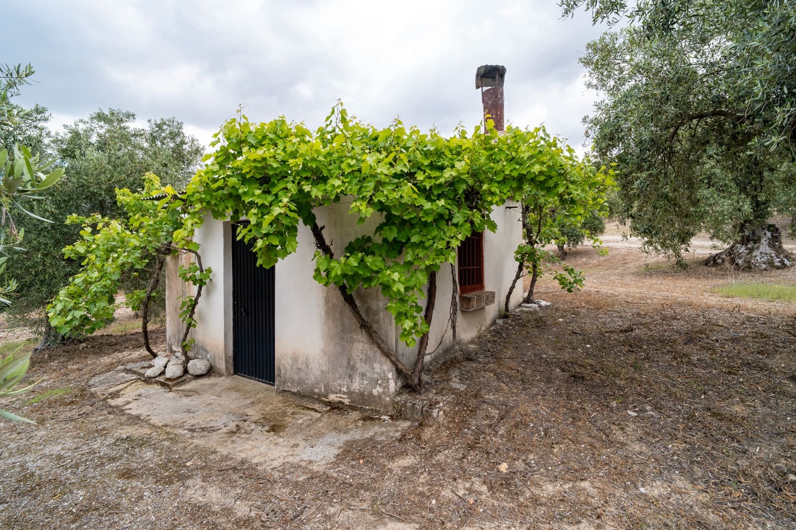 Mark till salu i Granada stad - 39 900 € (Ref: 9964531)