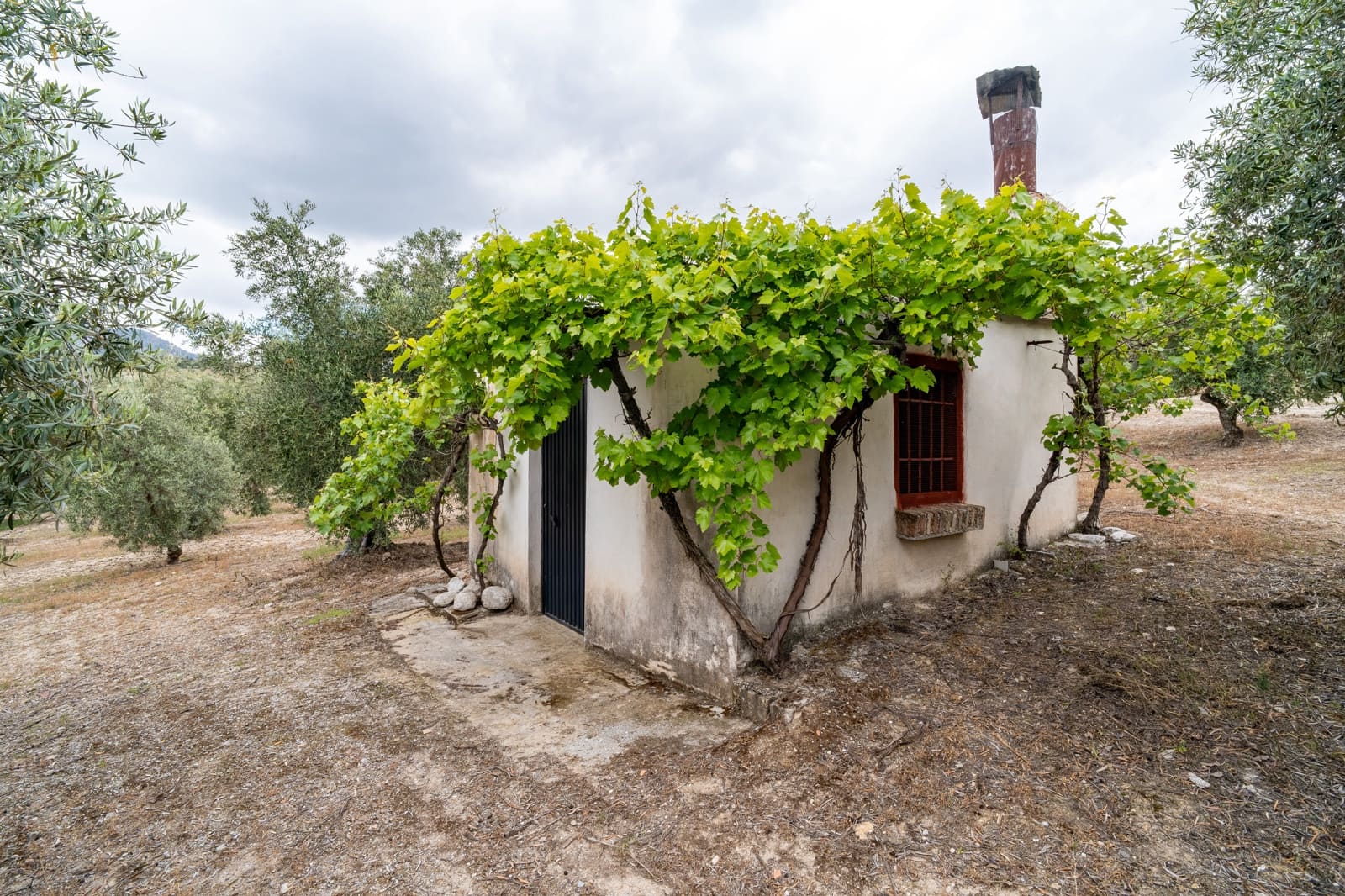Mark till salu i Granada stad - 39 900 € (Ref: 9964531)