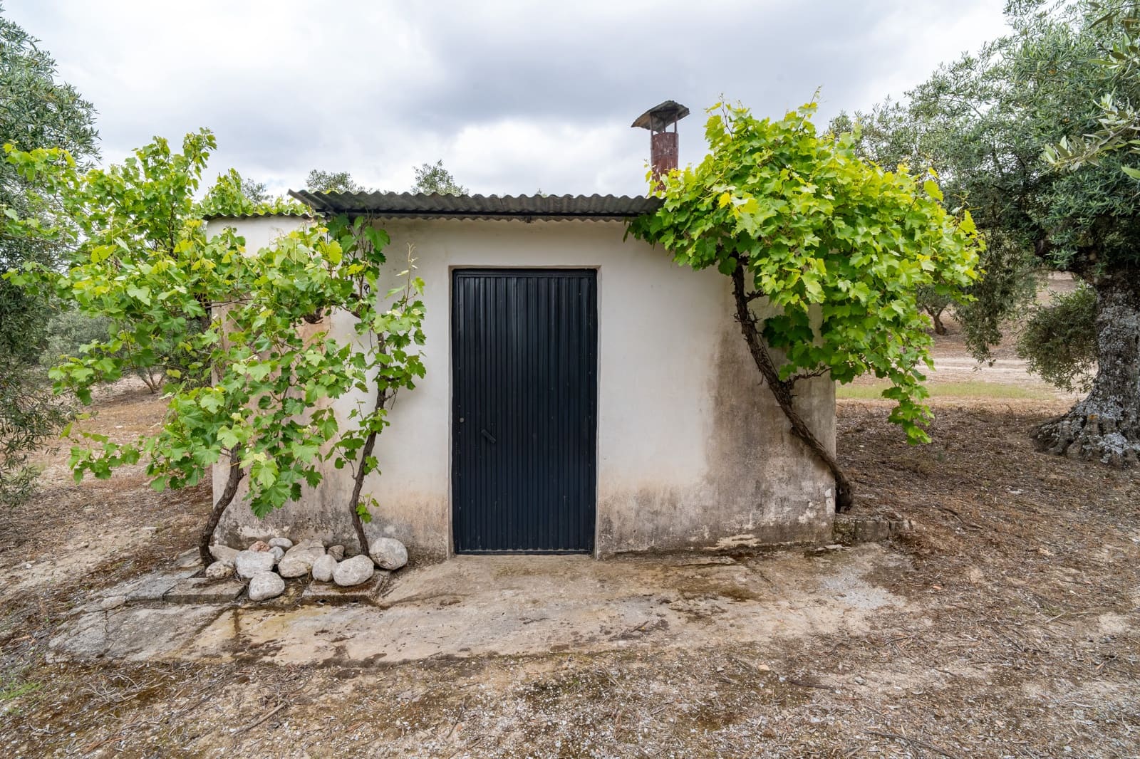 Mark till salu i Granada stad - 39 900 € (Ref: 9964531)