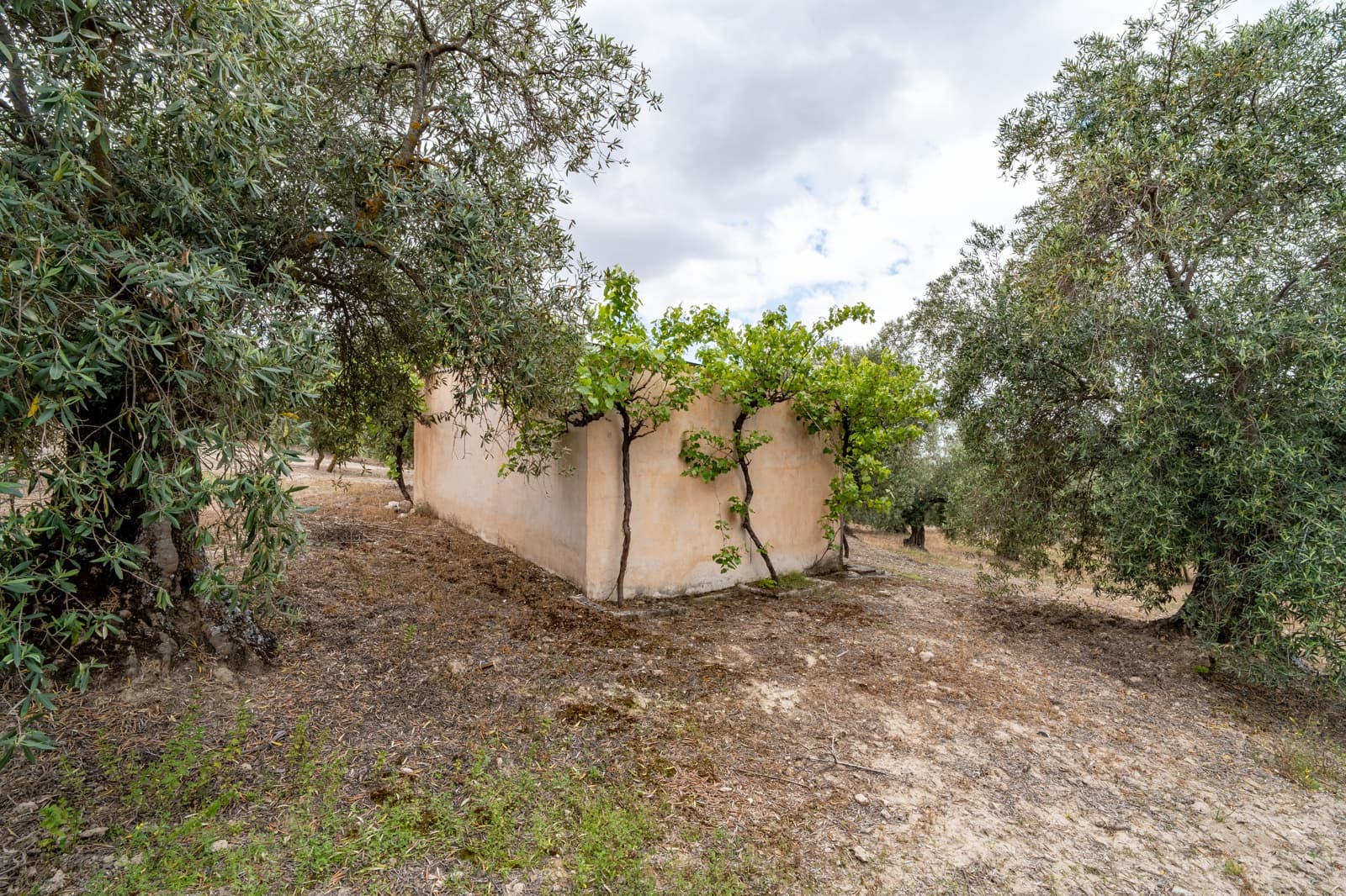 Mark till salu i Granada stad - 39 900 € (Ref: 9964531)