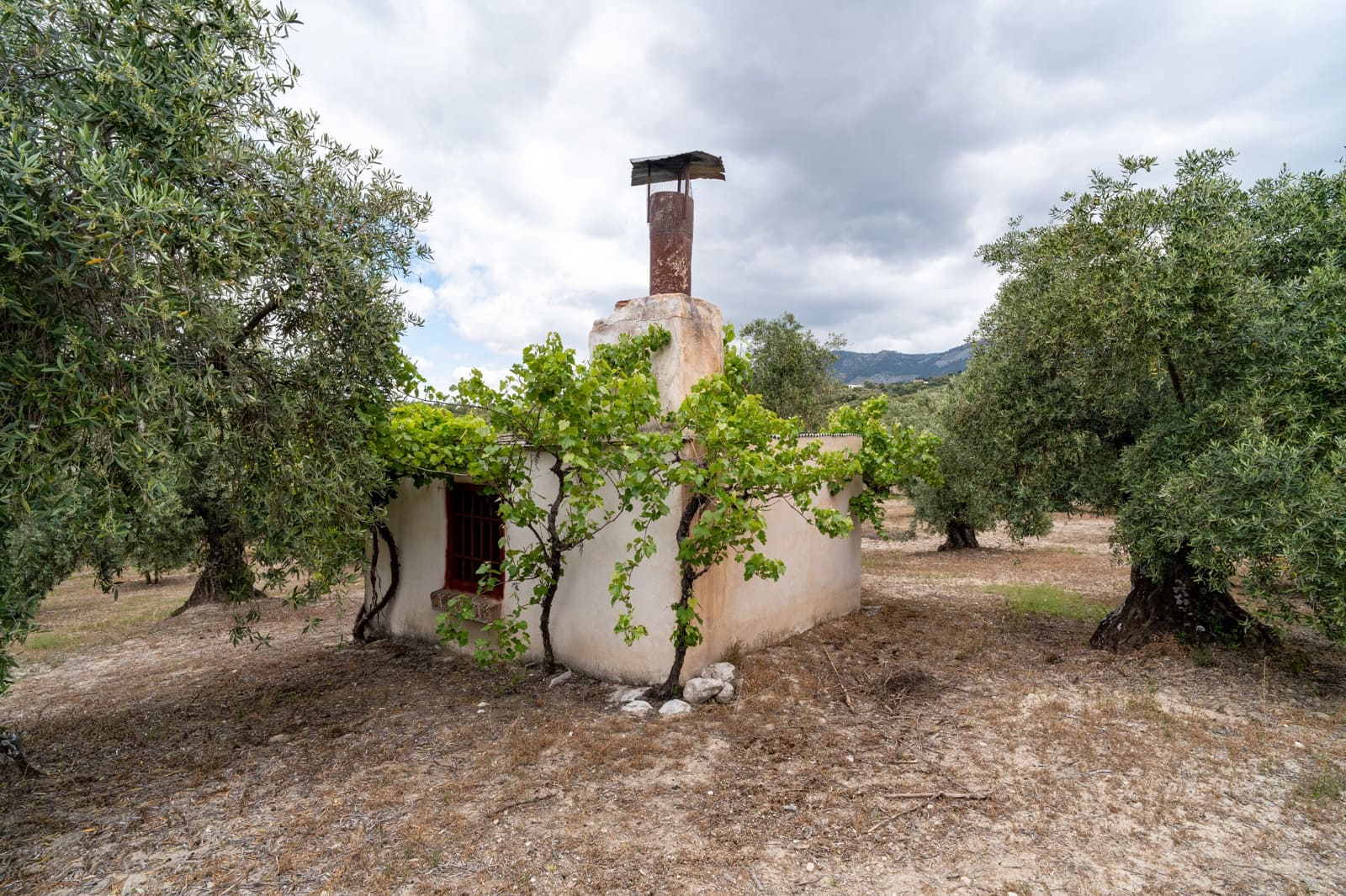 Mark till salu i Granada stad - 39 900 € (Ref: 9964531)
