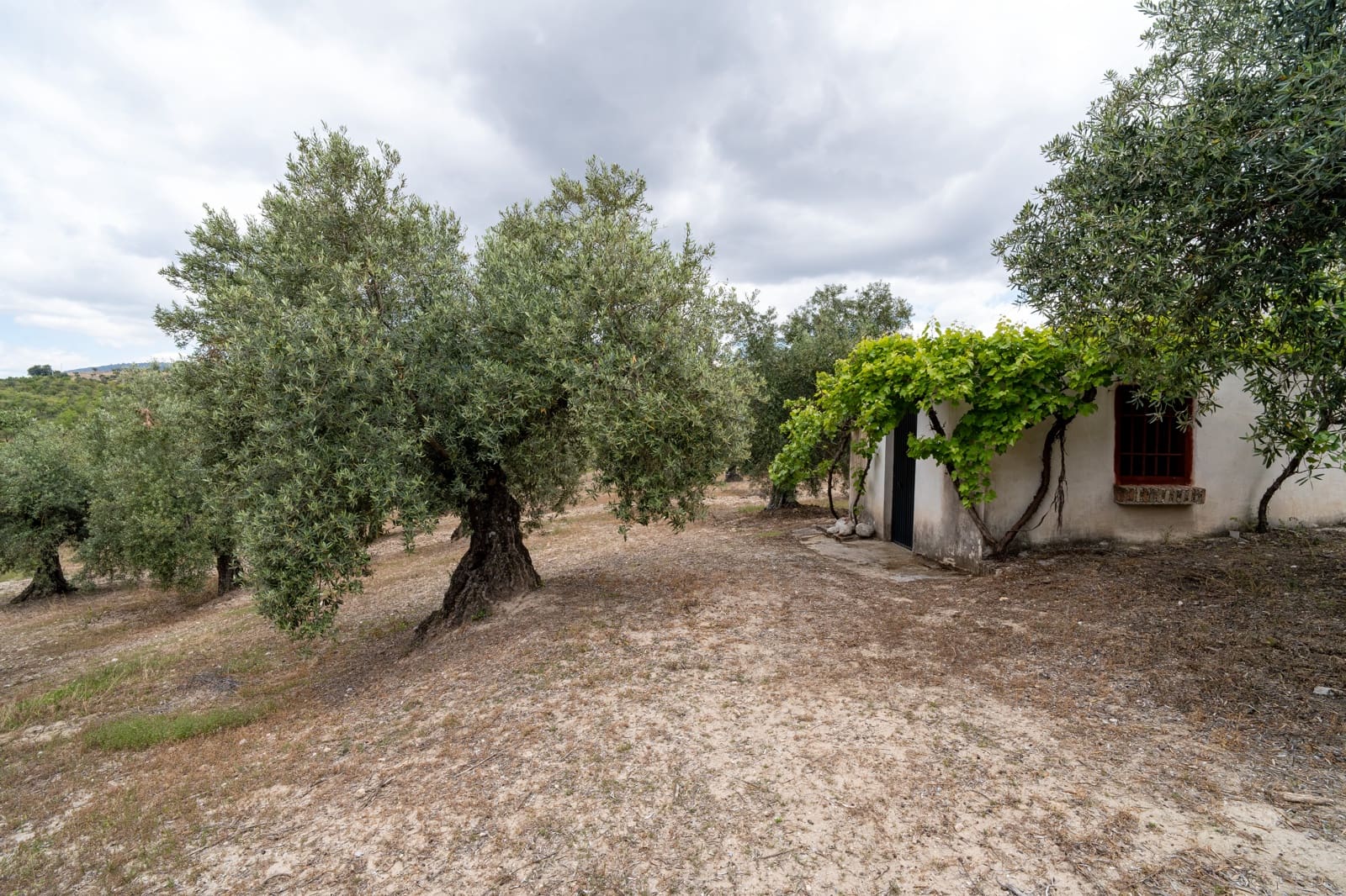 Mark till salu i Granada stad - 39 900 € (Ref: 9964531)