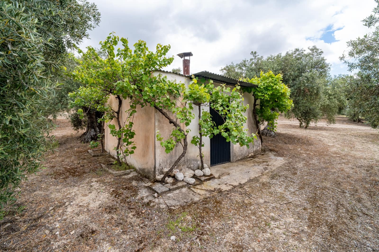 Mark till salu i Granada stad - 39 900 € (Ref: 9964531)