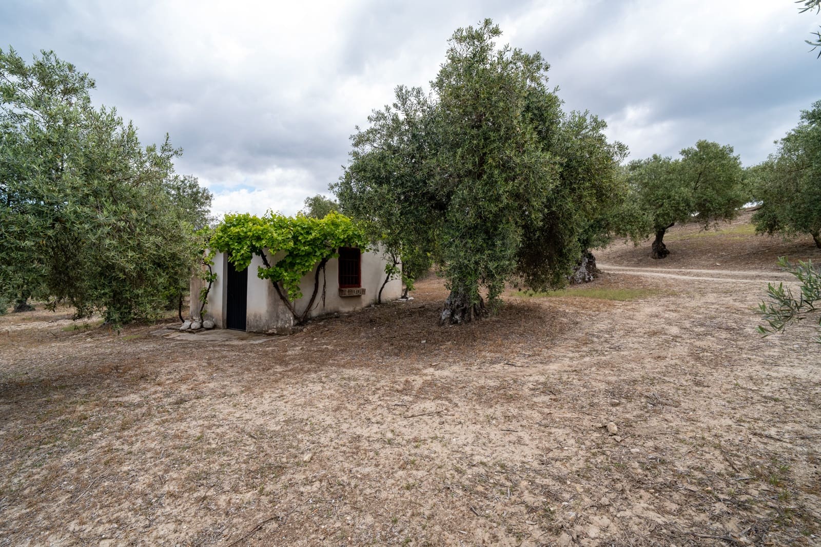 Mark till salu i Granada stad - 39 900 € (Ref: 9964531)