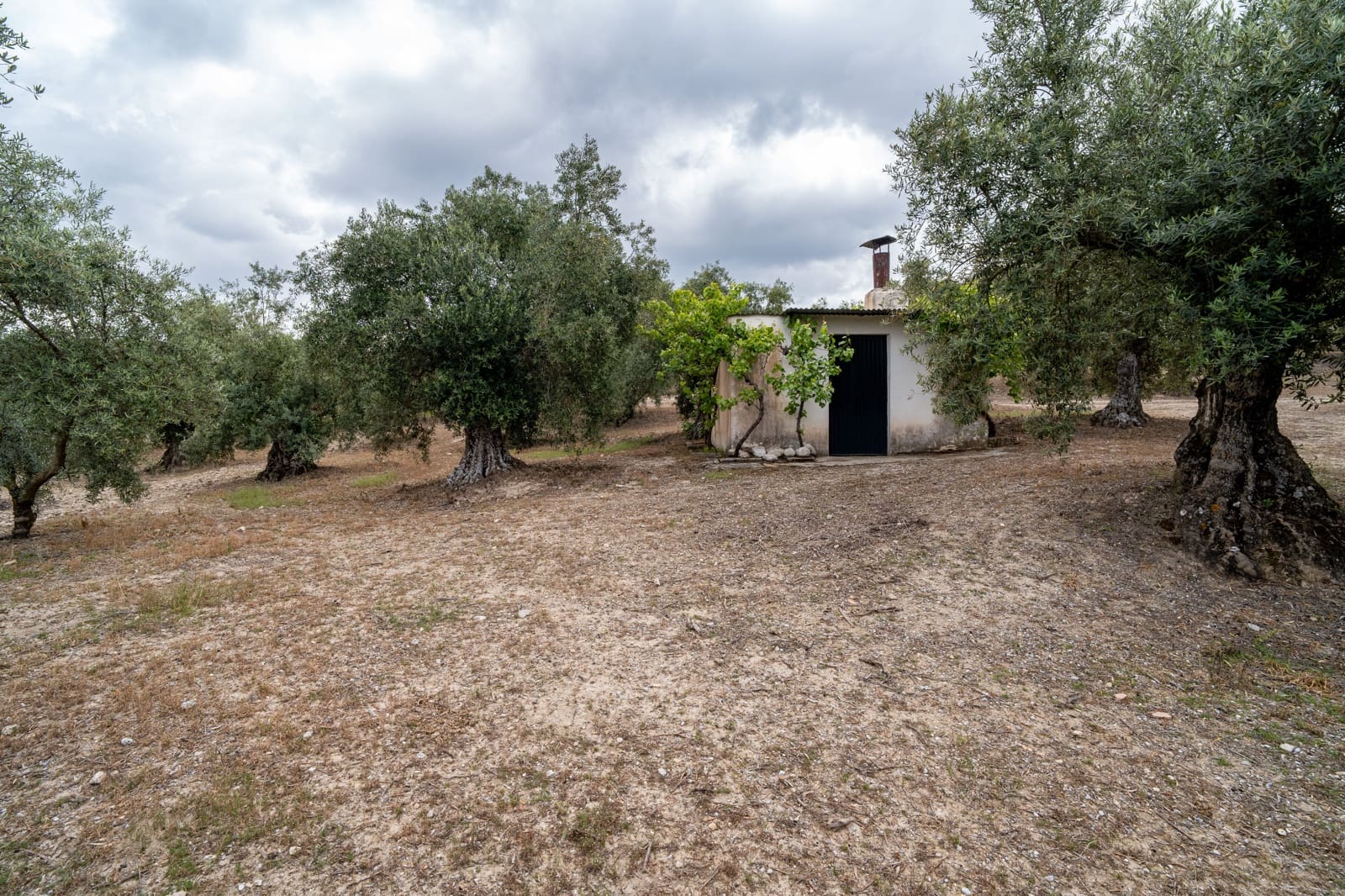 Mark till salu i Granada stad - 39 900 € (Ref: 9964531)
