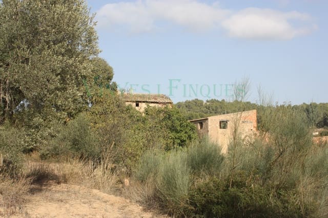 3 soveværelse Finca/Landehus til salg i El Molar - € 600.000 (Ref: 9141879)