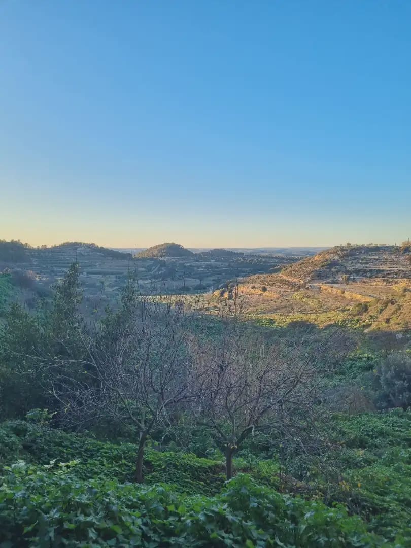 3 Zimmer Haus zu verkaufen in La Pobla de Massaluca - 165.000 € (Ref: 9781127)