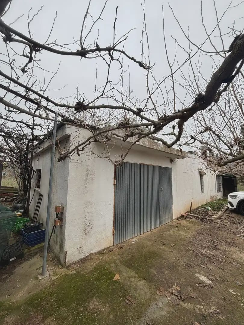 Grunde uden byggetilladelser til salg i Vinebre - € 39.000 (Ref: 9781131)