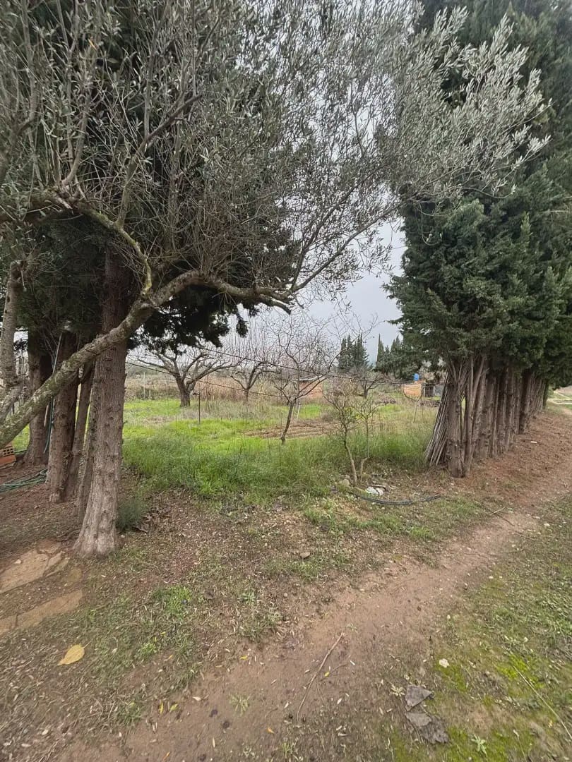 Grunde uden byggetilladelser til salg i Vinebre - € 39.000 (Ref: 9781131)