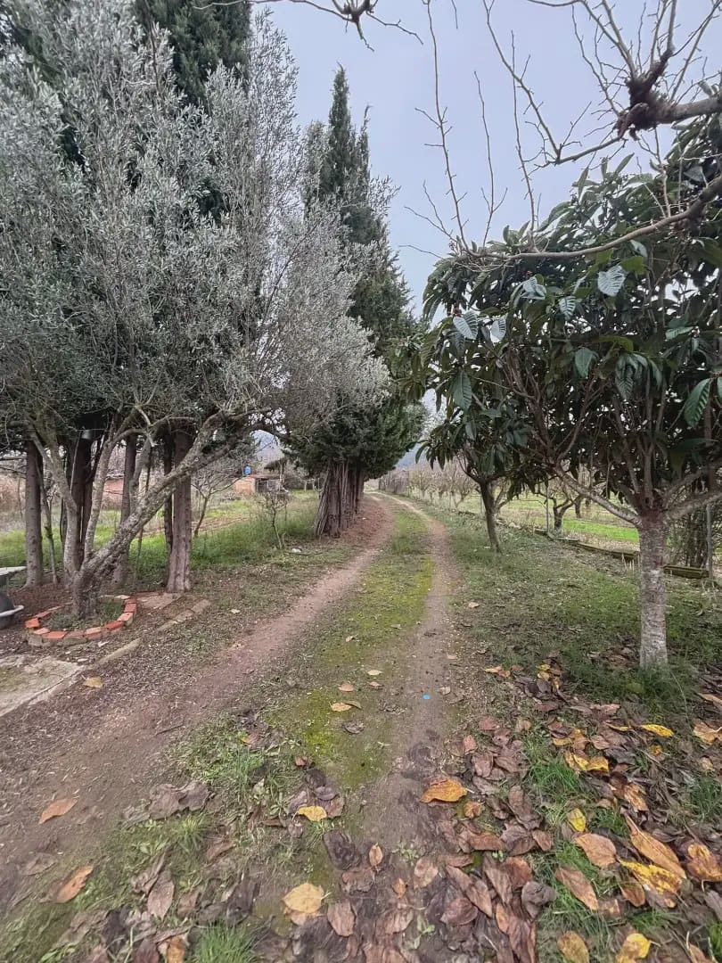 Grunde uden byggetilladelser til salg i Vinebre - € 39.000 (Ref: 9781131)