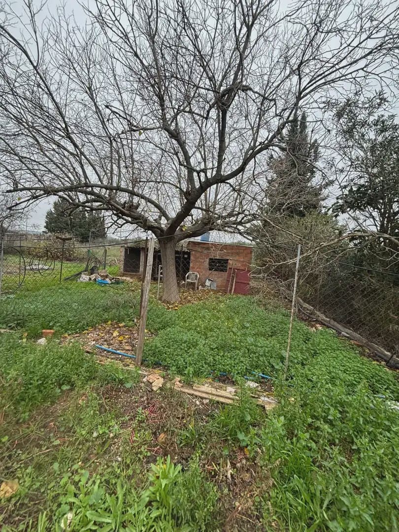 Grunde uden byggetilladelser til salg i Vinebre - € 39.000 (Ref: 9781131)