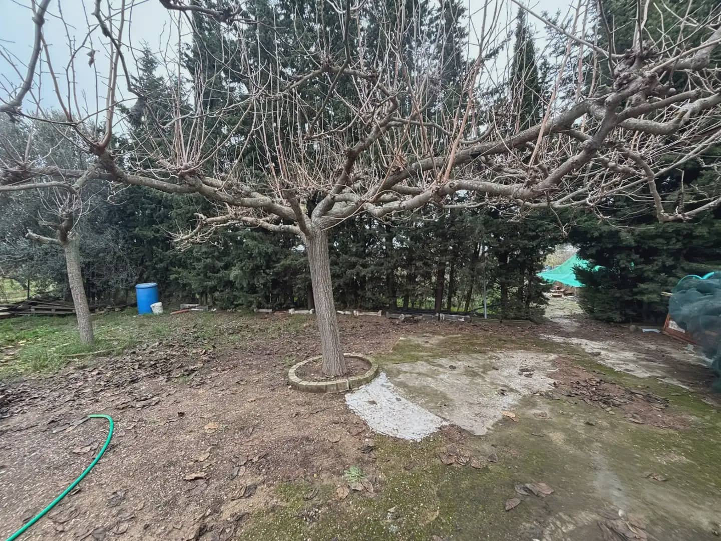 Grunde uden byggetilladelser til salg i Vinebre - € 39.000 (Ref: 9781131)