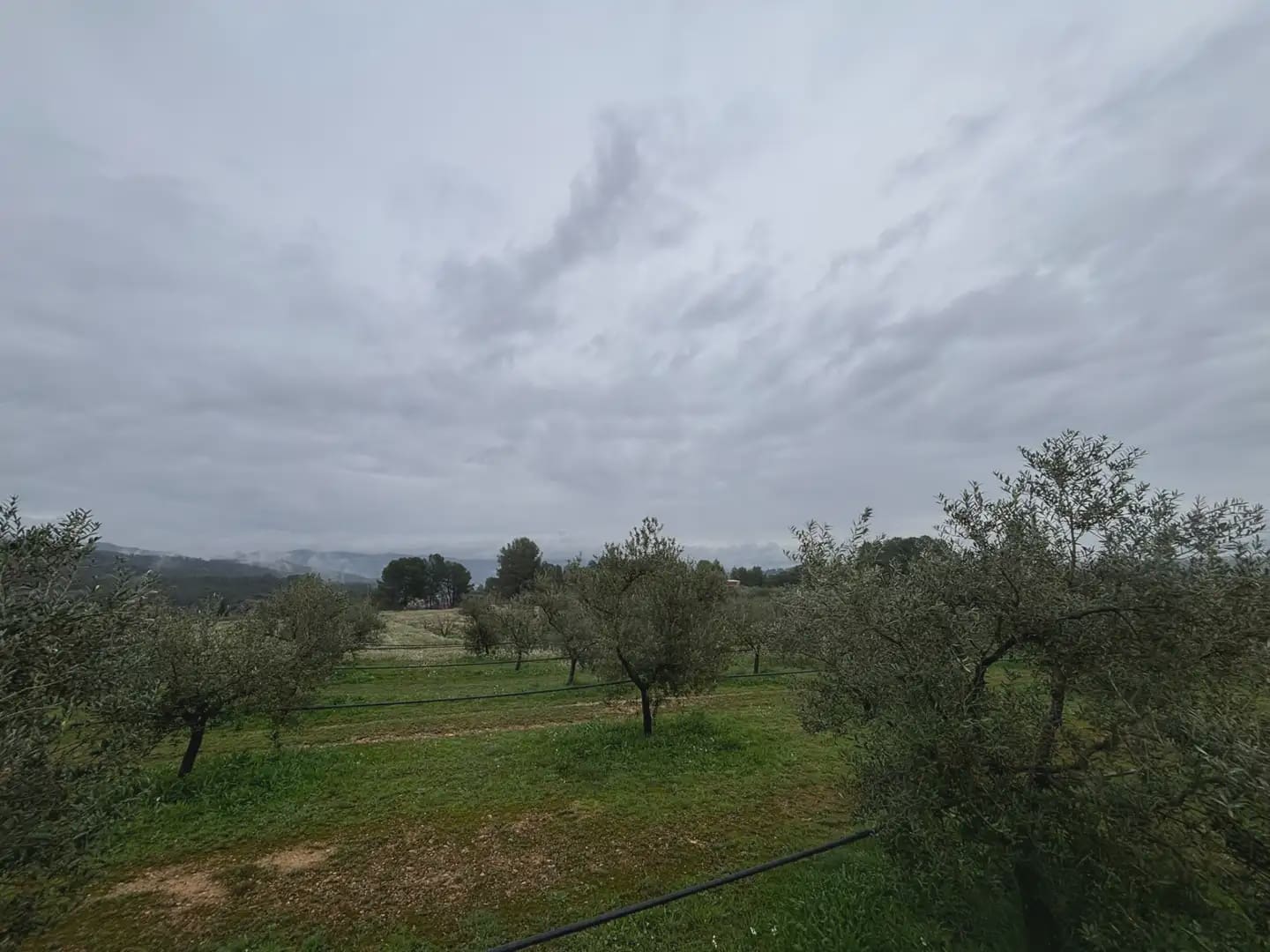 Grond te koop in Mora d'Ebre - € 130.000 (Ref: 9781135)