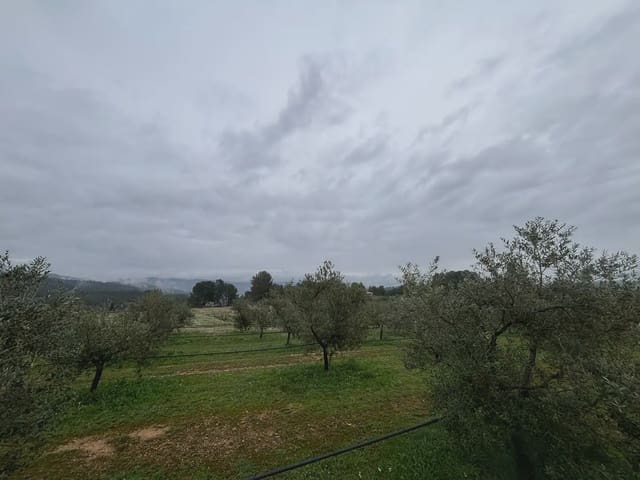 Grond te koop in Móra d'Ebre - € 130.000 (Ref: 9781135)