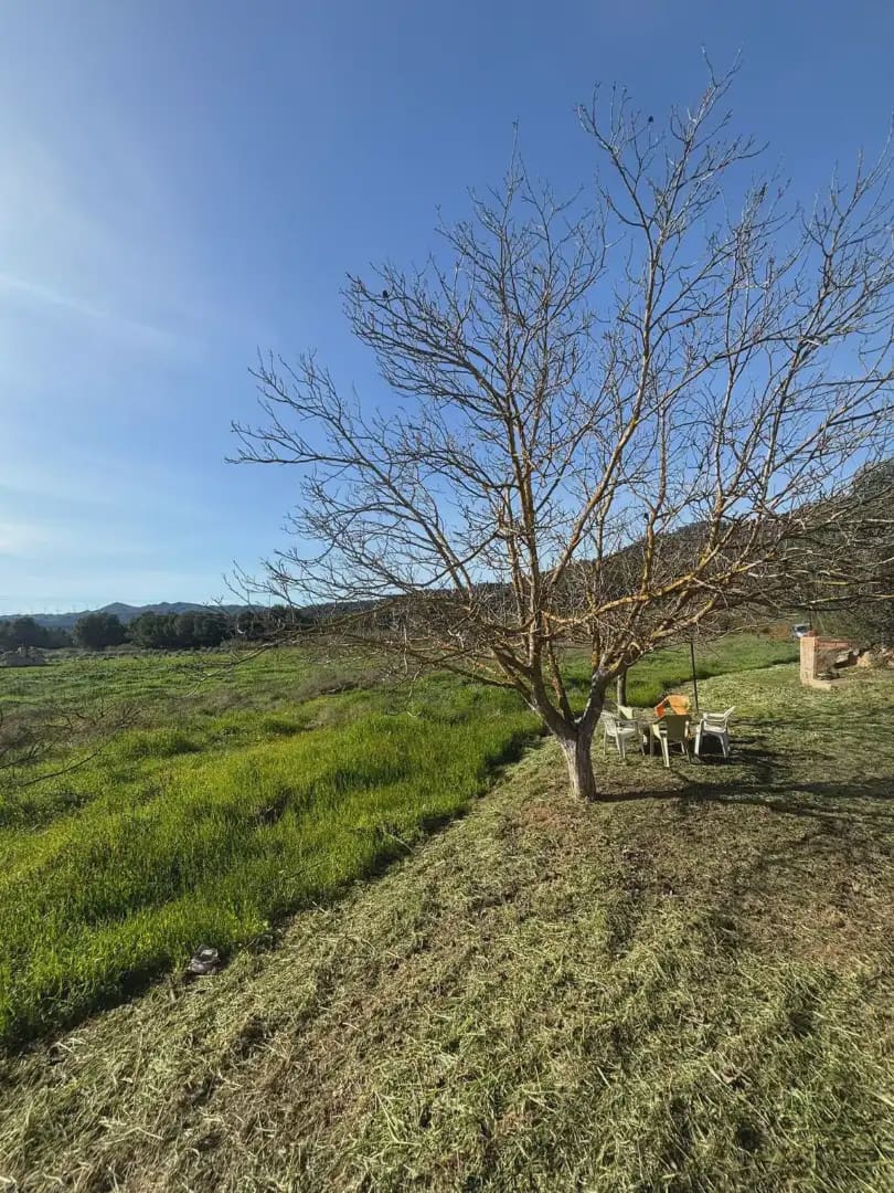 Finca/Landhuis te koop in Garcia - € 75.000 (Ref: 9781141)