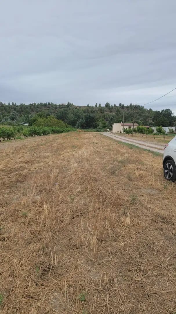 Grunde uden byggetilladelser til salg i Asco - € 39.000 (Ref: 9781148)