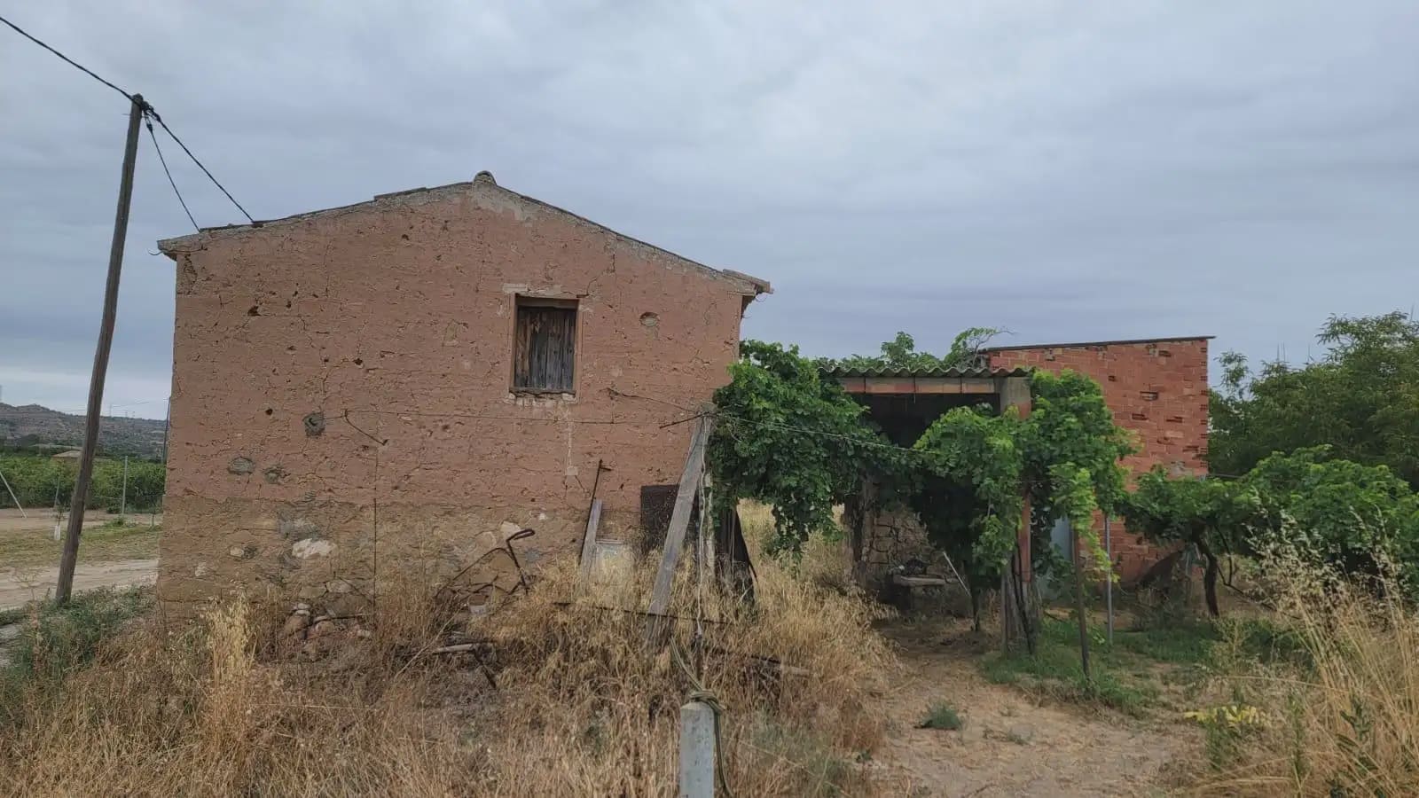 Grunde uden byggetilladelser til salg i Asco - € 39.000 (Ref: 9781148)