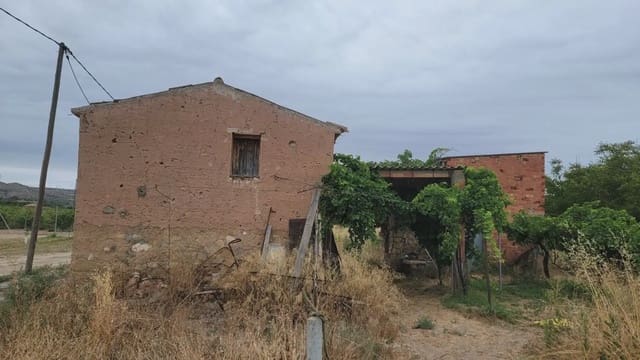 Grunde uden byggetilladelser til salg i Ascó - € 39.000 (Ref: 9781148)