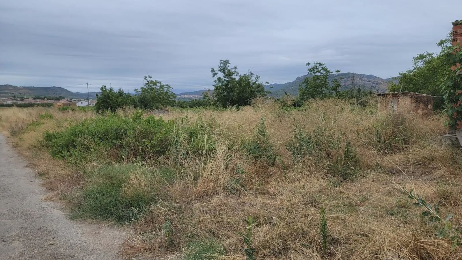 Grunde uden byggetilladelser til salg i Asco - € 39.000 (Ref: 9781148)