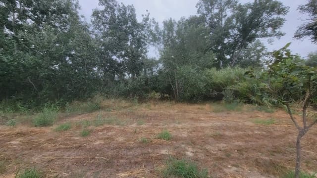 Grunde uden byggetilladelser til salg i Ascó - € 39.000 (Ref: 9781148)