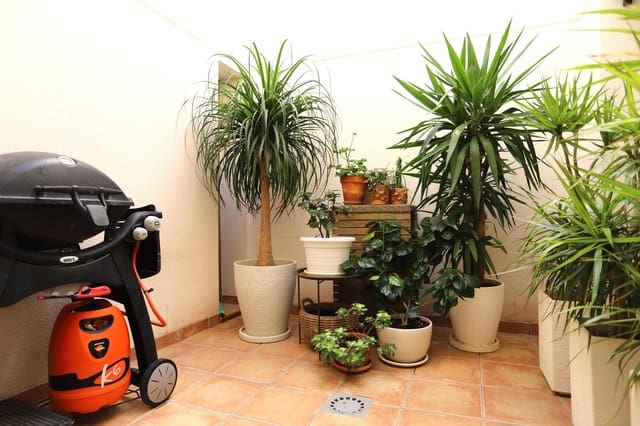 3 sypialnia Dom szeregowy na sprzedaż w Punta Prima, Torrevieja z basenem - 375 000 € (Ref: 9605214)