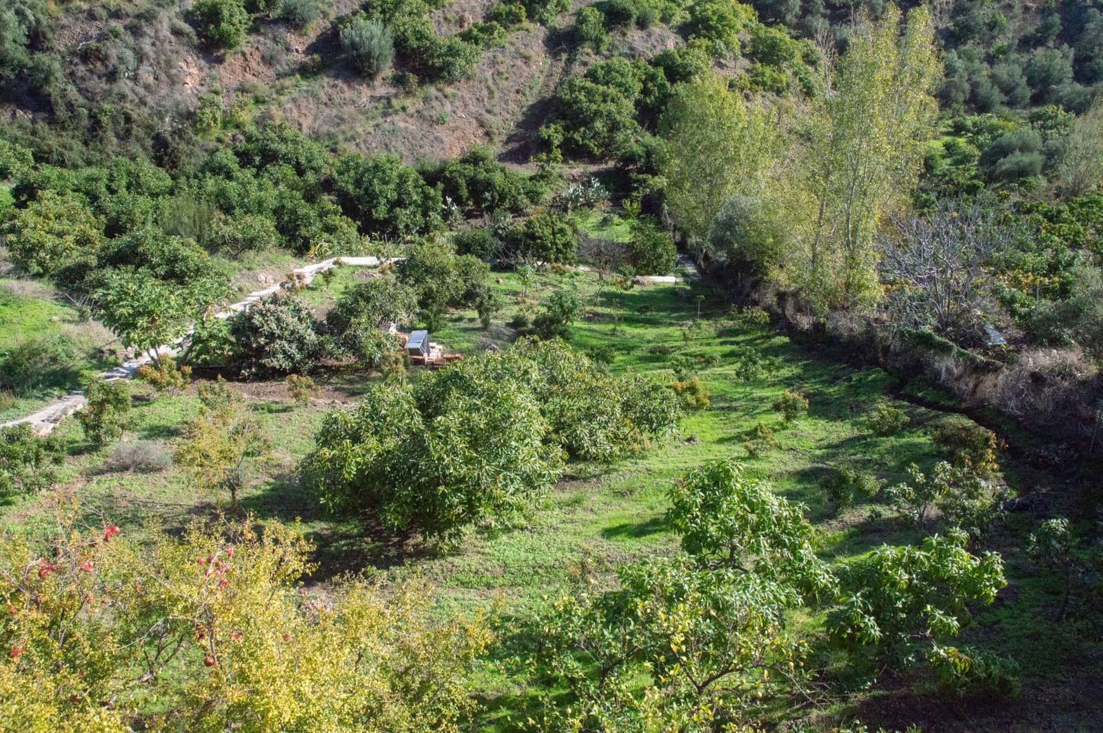 4 bedroom Villa for sale in Frigiliana with pool garage - € 960,000 (Ref: 9297834)