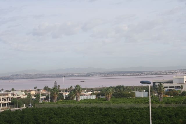 2 sovrum Semi-fristående Villa till salu i Los Balcones - Los Altos, Torrevieja med pool garage - 330 000 € (Ref: 10071787)