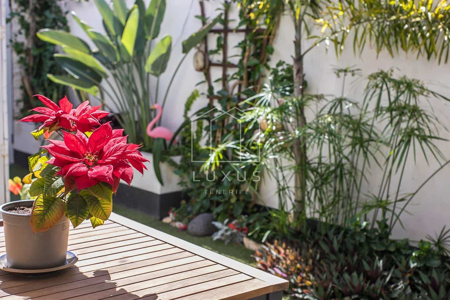 2 chambre Appartement à vendre à Puerto de la Cruz - 265 000 € (Ref: 8171788)