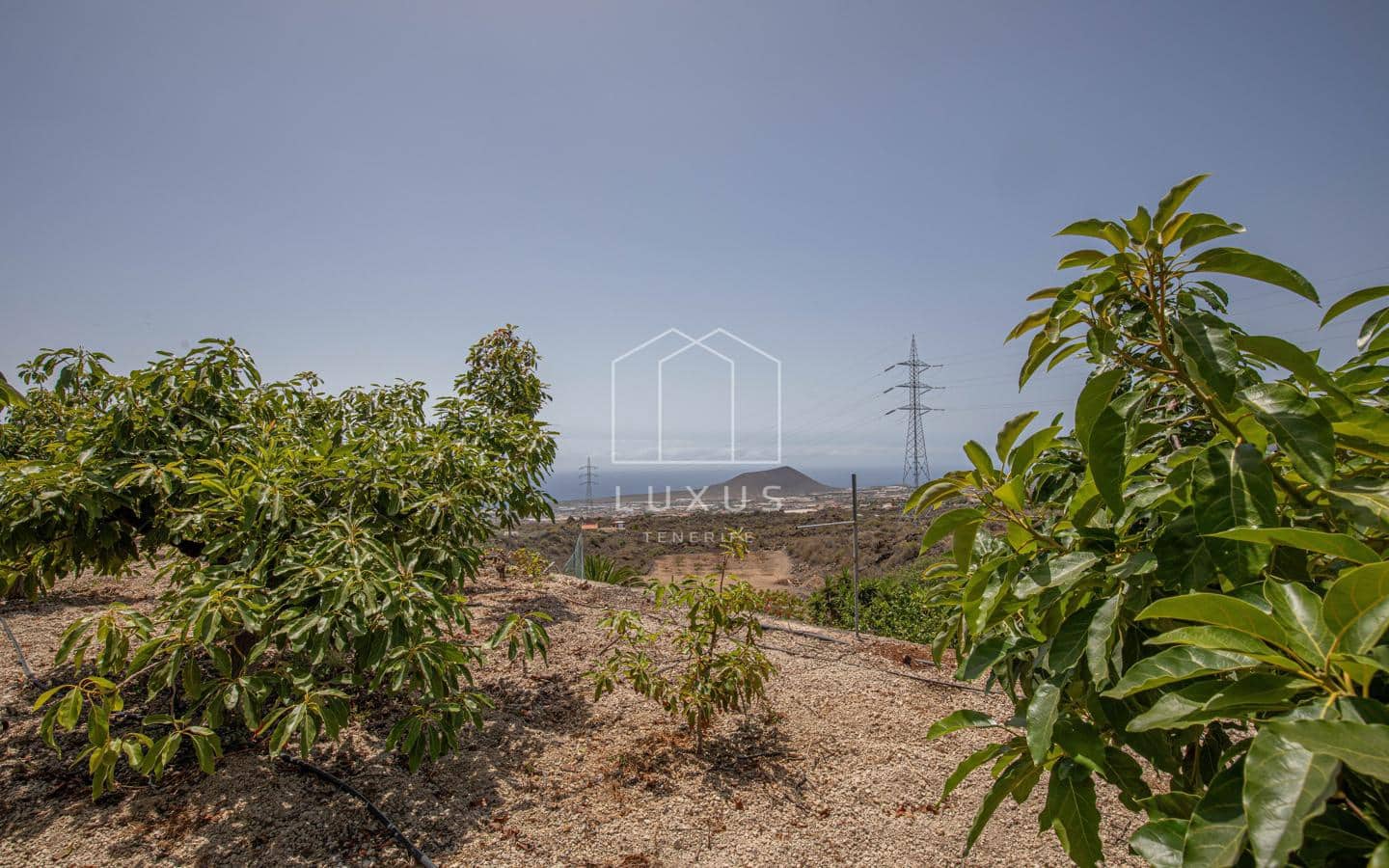 5 soveværelse Villa til salg i Arafo med swimmingpool - € 850.000 (Ref: 9124578)