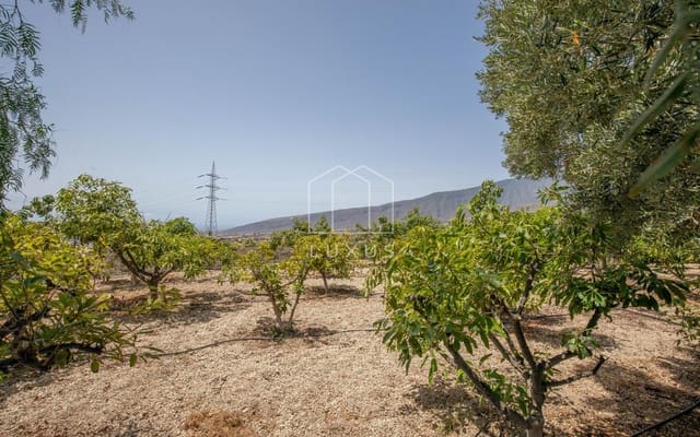 5 soveværelse Villa til salg i Arafo med swimmingpool - € 850.000 (Ref: 9124578)