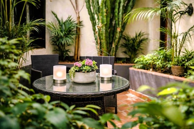 Chalet de 7 habitaciones en Icod de los Vinos en venta - 899.000 € (Ref: 9789931)