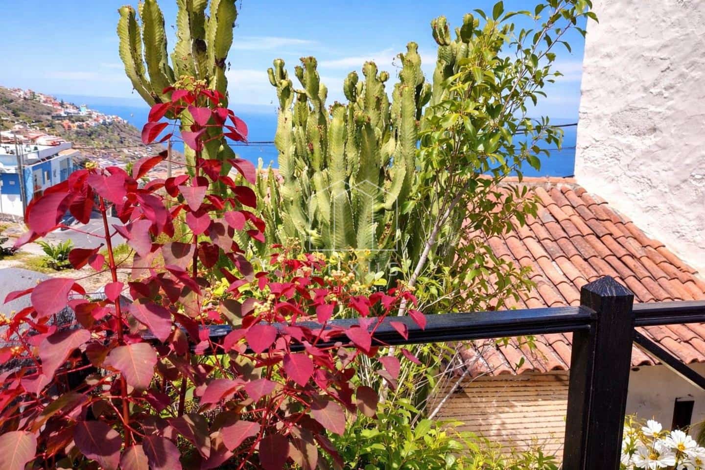 Chalet de 7 habitaciones en Icod de los Vinos en venta - 899.000 € (Ref: 9789931)