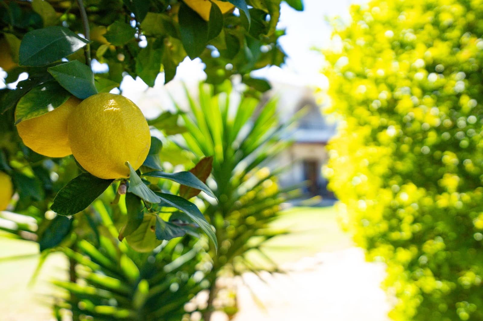 6 bedroom Villa for sale in La Xara with pool - € 695,000 (Ref: 9640790)