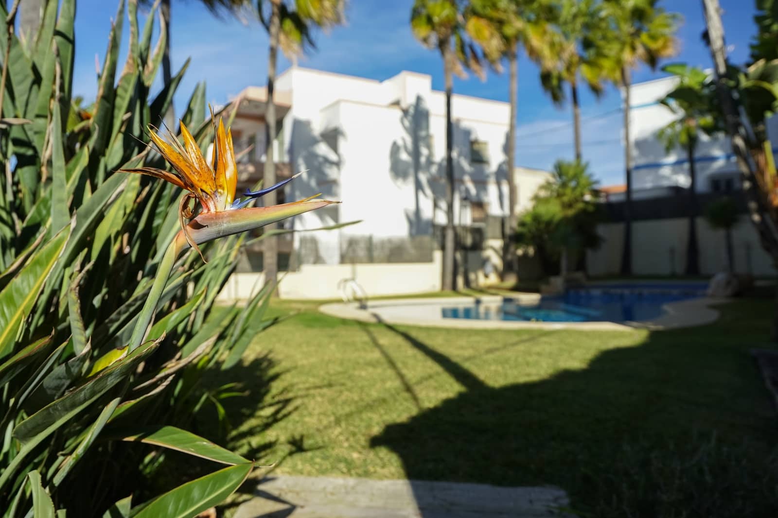 Casa de 3 habitaciones en Javea / Xàbia en venta con piscina - 449.000 € (Ref: 9640806)