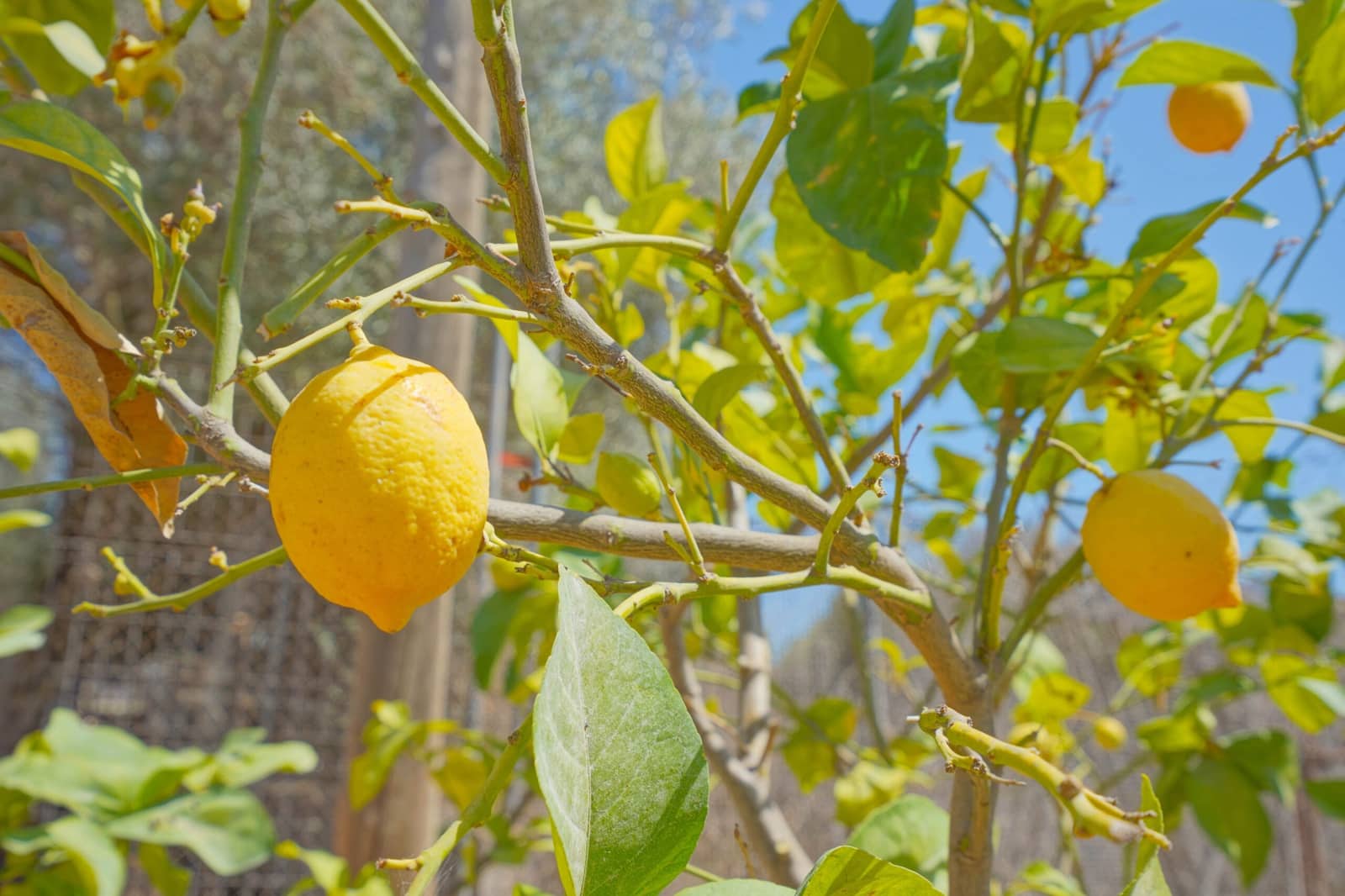 3 bedroom Villa for sale in Javea / Xabia with pool - € 375,000 (Ref: 9640817)