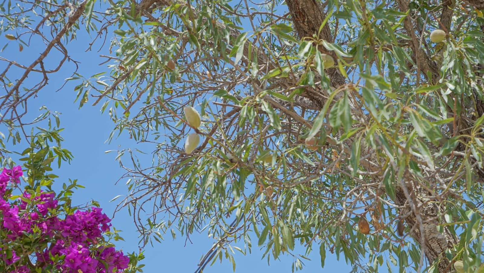 3 bedroom Villa for sale in Javea / Xabia with pool - € 375,000 (Ref: 9640817)