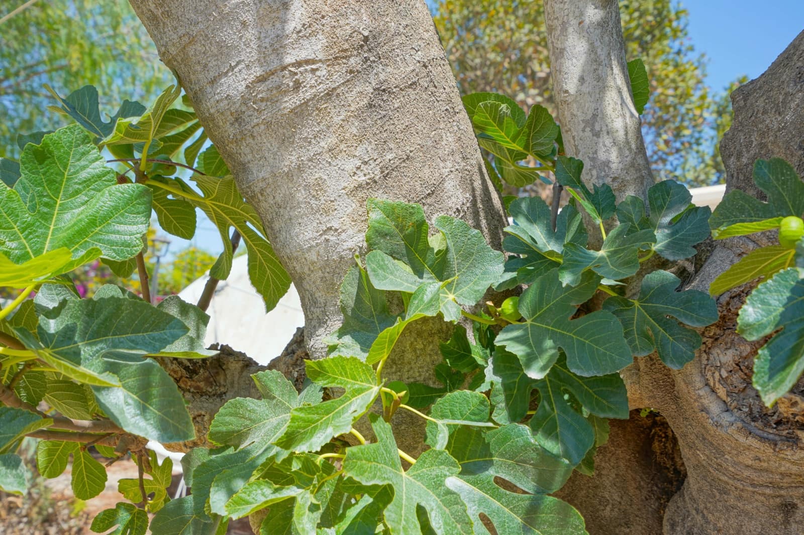 3 bedroom Villa for sale in Javea / Xabia with pool - € 375,000 (Ref: 9640817)