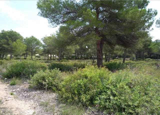 Building Plot for sale in Javea / Xàbia - € 215,000 (Ref: 9640883)