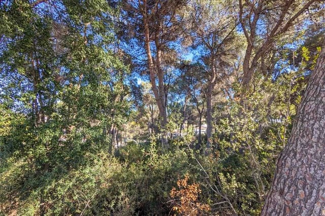 6 soverom Villa til salgs i Pinar del Advocat - Cometa, Teulada-Moraira med svømmebasseng garasje - € 4 500 000 (Ref: 9645532)