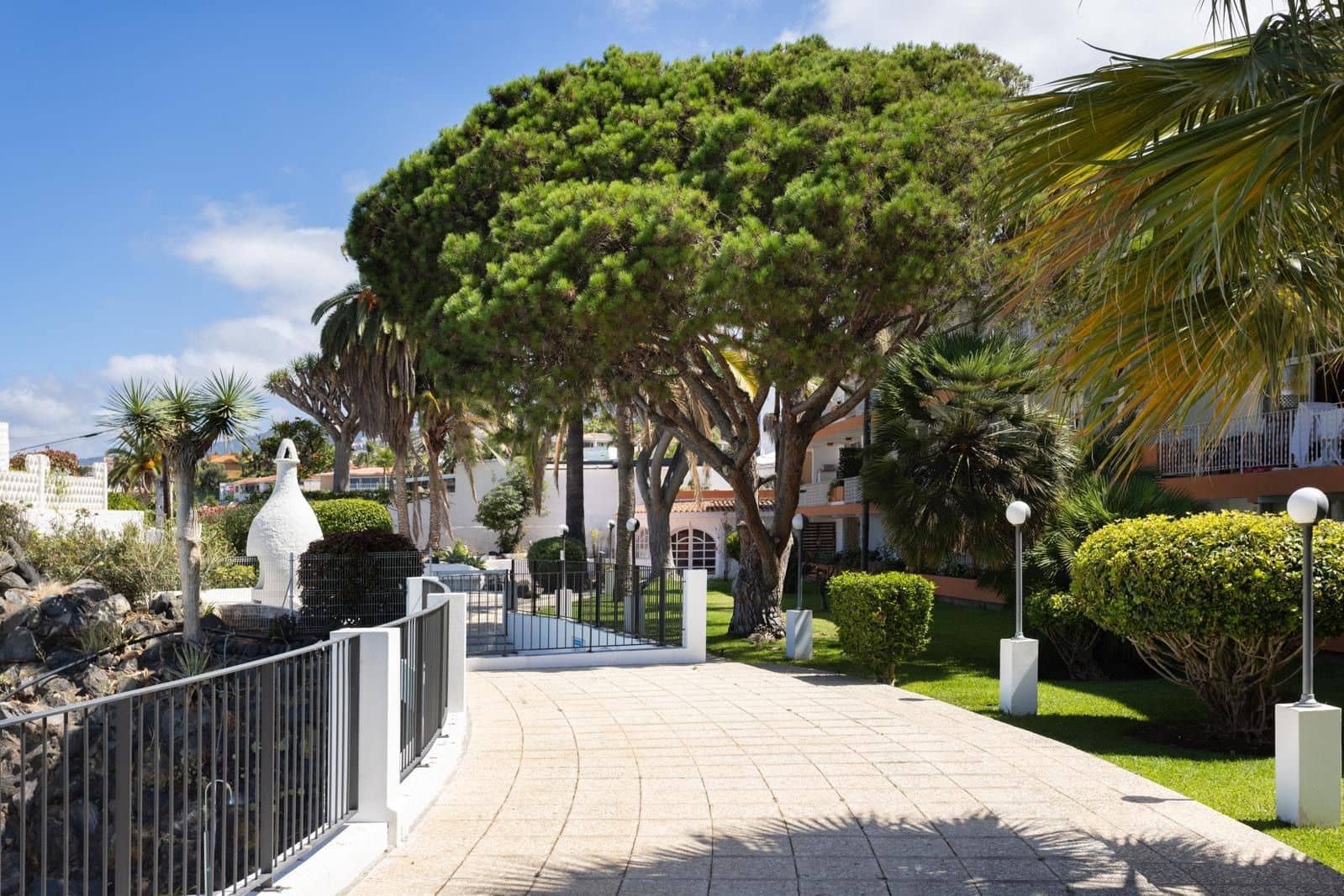 Studio til leje i Puerto de la Cruz med swimmingpool - € 850 (Ref: 10026756)
